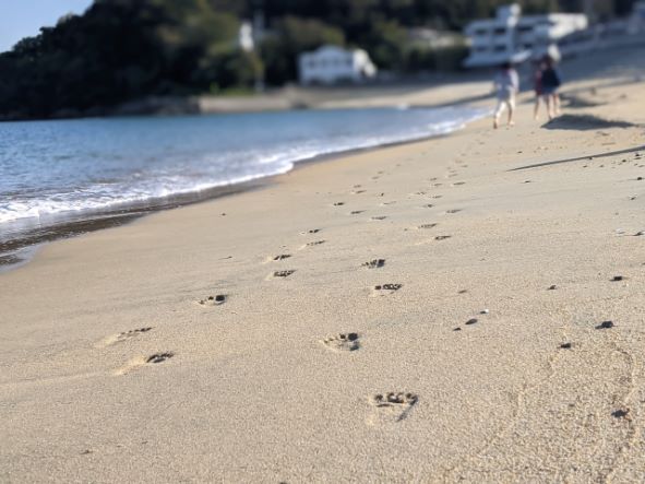 砂浜の足跡.jpg